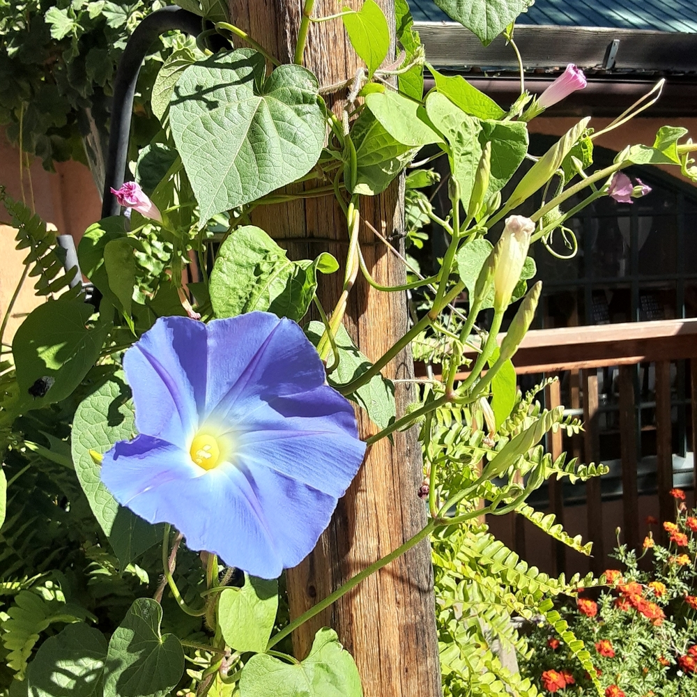 😊👠👠👗📿💄🕶 - Picture 5 of 7